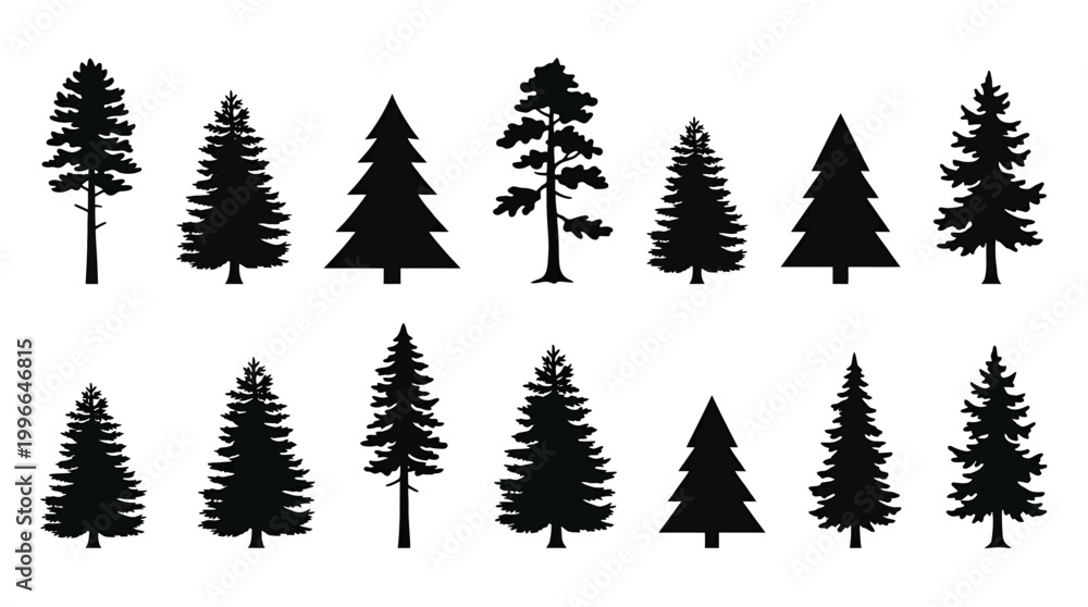 Obraz premium Set of black silhouettes of coniferous trees, pine, spruce, fir, cedar, evergreen trees