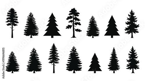 Set of black silhouettes of coniferous trees, pine, spruce, fir, cedar, evergreen trees