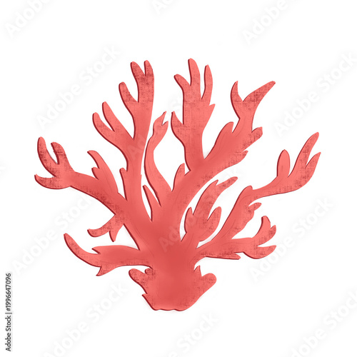 red reef under the sea