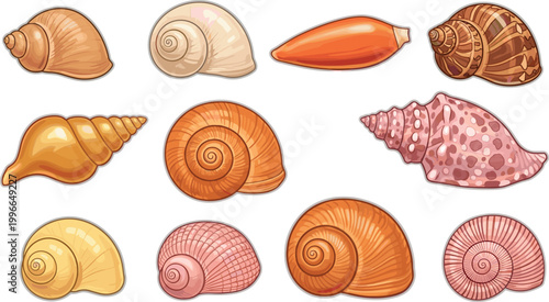 Realistic seashell collection with detailed ocean shells in various shapes and colors for beach, marine life, and nature illustration design