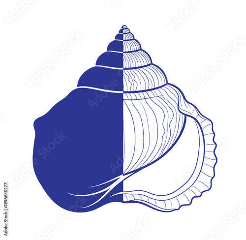blue and white illustration of a seashell on a plain white background for design