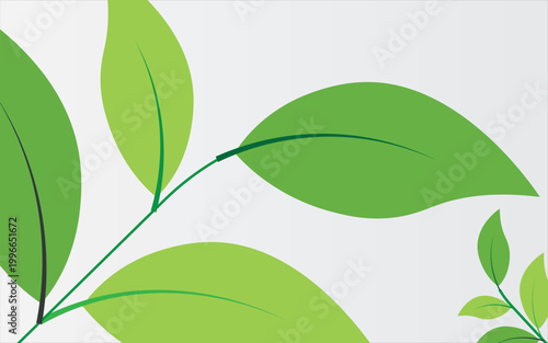 featuring eight different types of green leaves. Each leaf showcases unique shapes and vein patterns. graphic is simple, clean, and vibrant, ideal for nature-themed designs and eco-friendly projects