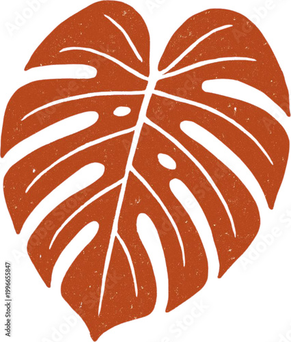 Large Monstera Deliciosa Leaf Closeup.