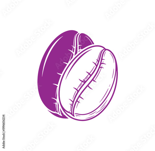 Purple coconut with one half cut off on white background