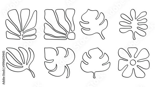 Abstract Leaves Line Art Monstera Botanical Collection.Vector Illustration