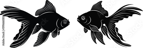 Elegant black goldfish illustration a pair of oranda fish in a minimalist style