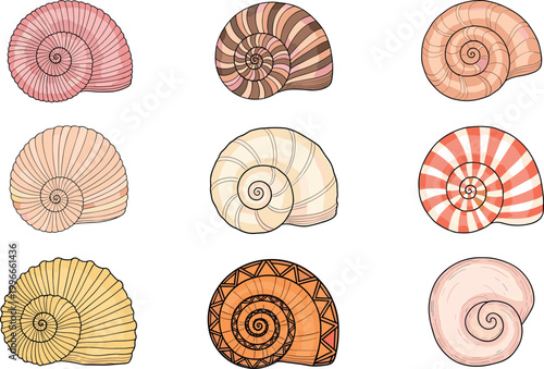 Spiral seashell collection with detailed nautilus shell patterns in various colors for marine, ocean, and decorative illustration design