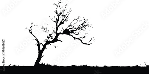 Bare leafless dead tree silhouette with twisted branches isolated on white background environment nature vector illustration.