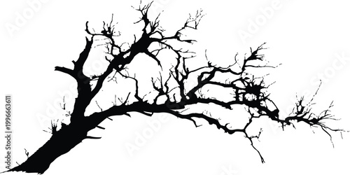 Bare leafless dead tree silhouette with twisted branches isolated on white background environment nature vector illustration.