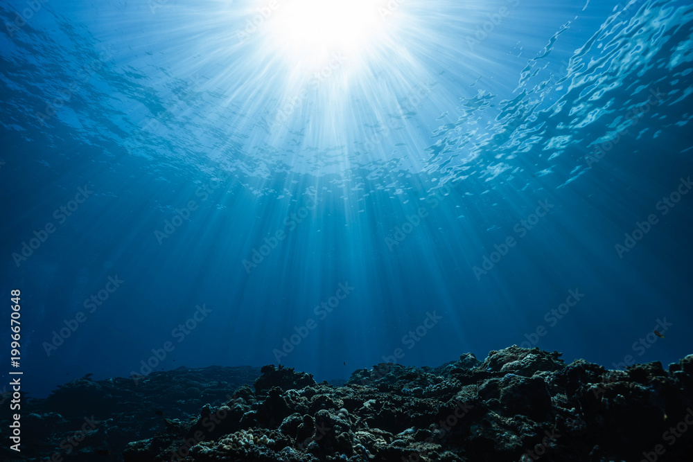 Naklejka premium Bright Sunlight Streaming Into Deep Blue Underwater Scene