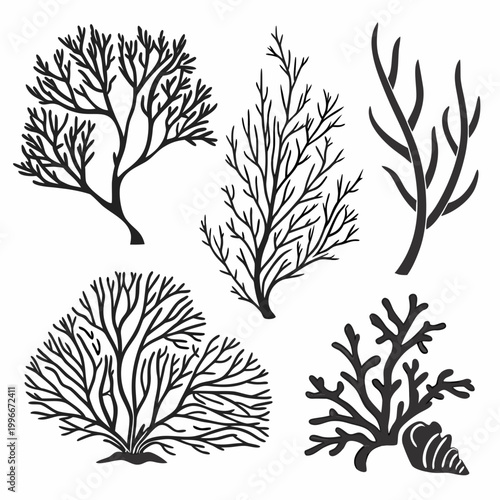 a group of different seaweed plants Vector