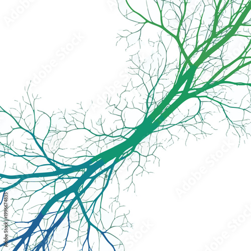 Gradient neural network, colorful brain, neuron connections, synapse vector