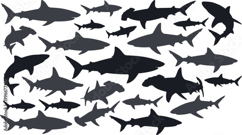 Shark silhouette vector collection, marine predator shapes, black and gray aquatic forms, ocean theme, species diversity, underwater illustration, sea life graphics
