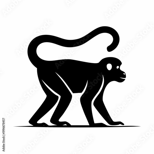Black Silhouette of a Monkey