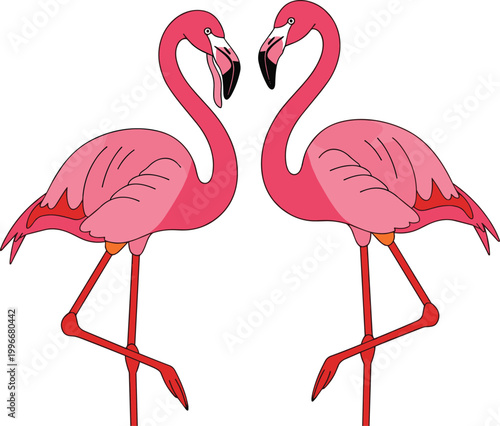 Two pink flamingos standing and facing each other, vector illustration