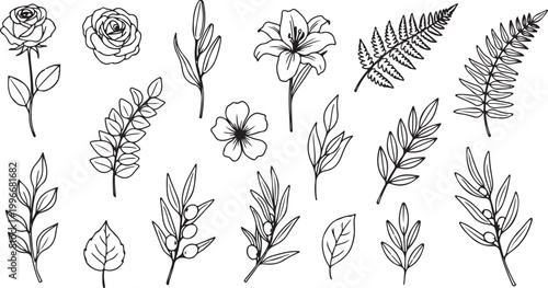 Leaf branch wreath rustic set. Hand drawn sketch doodle style leaf. Flourish branch, laurel flower for border, divider design element.