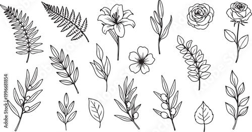 Leaf branch wreath rustic set. Hand drawn sketch doodle style leaf. Flourish branch, laurel flower for border, divider design element.