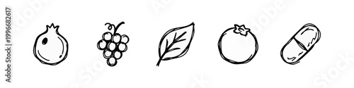 Hand-drawn icons of fruits, leaf, and pill in black and white sketch style
