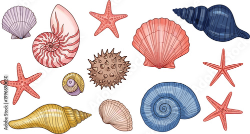 Hand-Drawn Seashell and Starfish Collection, Marine Life, Nautical Elements for Beach, Ocean, and Coastal Designs