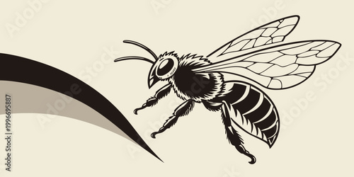 Cuadro en lienzo Detailed black and white insect illustration of a honey bee flying with wing mov