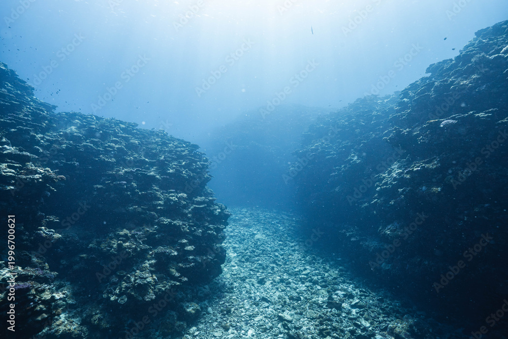 Fototapeta premium Tropical Reef Passage With Sunlight Rays Underwater