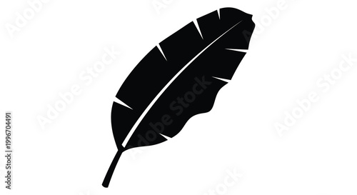 A striking black feather illustration with sharp defined edges a bold silhouette