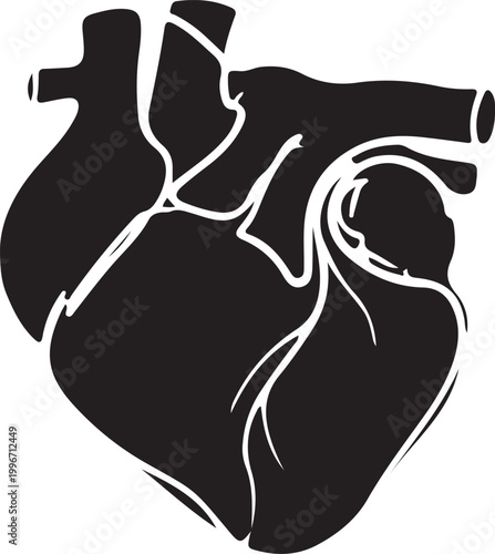 Human heart silhouette icon isolated on white background

Realistic anatomical heart vector illustration for medical design

Black heart shape symbol for healthcare and cardiology concepts