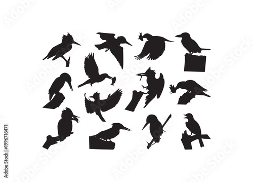 Kingfisher Bird, Kingfisher, Bird, Kingfisher Bird vector bundle, Kingfisher Bird clipart, Kingfisher Bird silhouette.	
