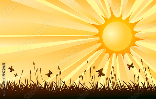 A landscape with the summer sun and butterflies.
