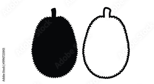 Two durian fruits are depicted in contrasting black and white silhouette