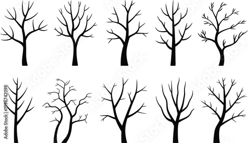 Black and white minimalist line of winter trees without leaves line winter trees bare trees