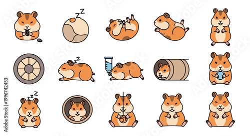 Cute hamsters in various poses.