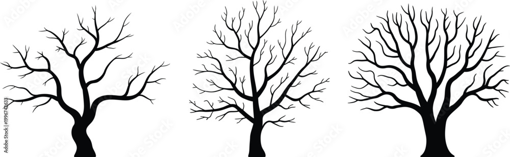 Fototapeta premium Black ink of three bare winter trees against bare branches line minimalist