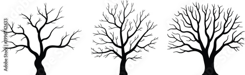 Black ink of three bare winter trees against  bare branches line minimalist