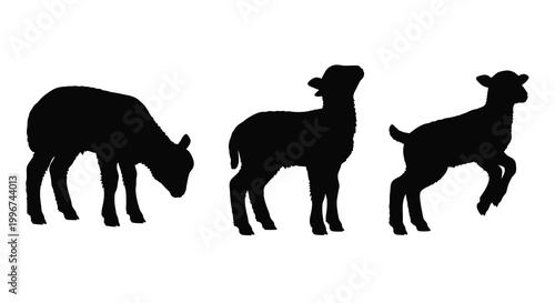 Three lambs standing and grazing in a black minimalist silhouette