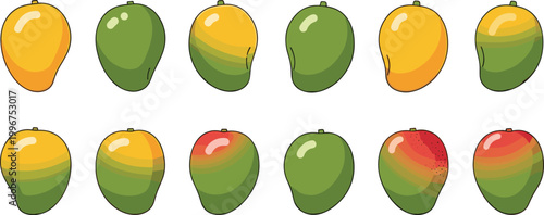 Set of Fresh Mango Illustrations Featuring Tropical Fruits in Various Stages of Ripeness Including Green Yellow and Red for Food and Beverage Graphic Designs