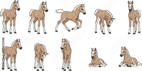 Set of Cute Foal Illustrations Featuring Young Palomino Horses in Various Poses Including Standing Running Grazing and Lying Down for Equine and Farm Theme Graphic Designs