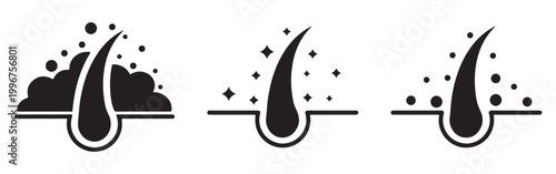 Premium Hair Care Icons Set – Shampoo, Anti-Dandruff Treatment, Conditioner, Beauty and Salon Vector Illustration