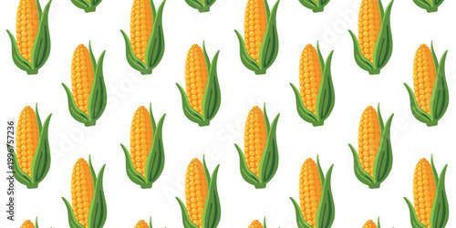 repeating corn cobs pattern isolated clean white backdrop