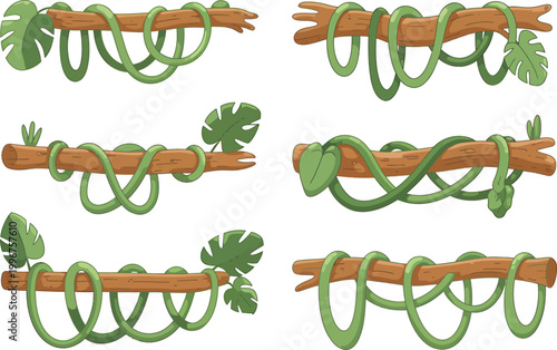 Jungle vines wrapped on wood branches set