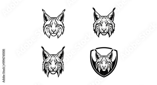 Lynx Head Vector Illustrations - A Collection of Feline Portraits.