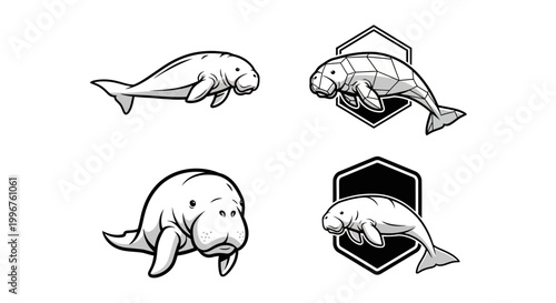Tableau sur toile Manatee Illustrations - Gentle Sea Cows in Black and White.