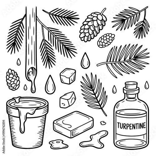 Turpentine vector illustration with pine leaves and art supplies