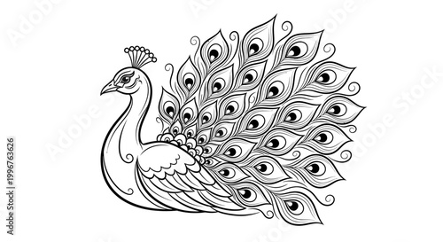Elegant peacock bird line art with decorative fanned tail feathers