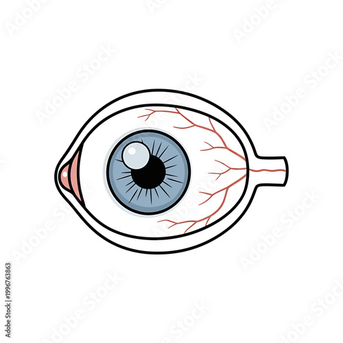 Detailed Vector Illustration of a Blue Human Eyeball with Capillaries