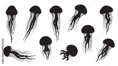 Black jellyfish silhouette vector set, minimalist sea life icons, aquatic animal collection with long tentacles, marine biology graphic elements