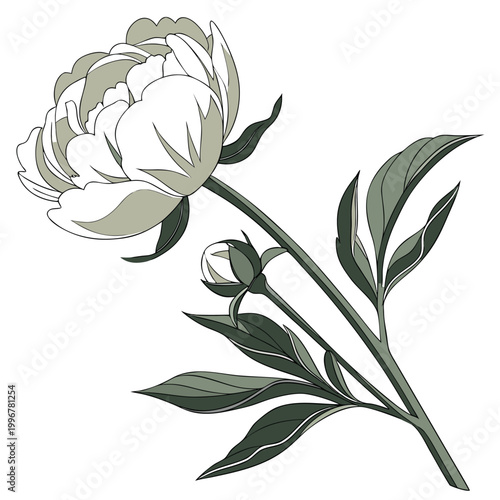 A beautiful vintage vector illustration featuring a seamless pattern of black and white flowers and foliage branches designed as a decorative floral element for nature art and garden spring themes