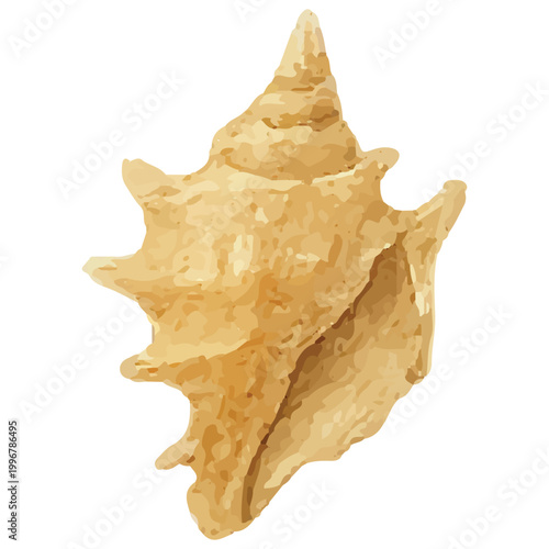 Spiky Conch Seashell Marine Ocean Shell Beach Exotic Coastal Nature