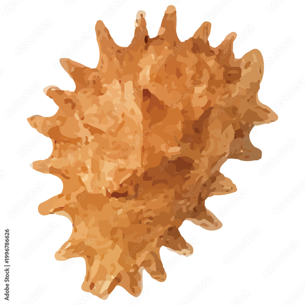 Fototapeta premium Spiky Murex Seashell Marine Ocean Shell Beach Exotic Coastal Design