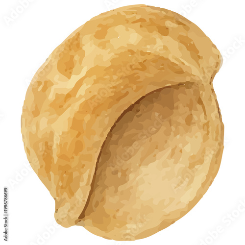 Open Spiral Seashell Cutaway Marine Ocean Shell Beach Natural Detail